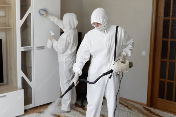 Best Mold Testing and Inspection Services in San Bernardino, CA